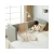 Import Nordic Style Children Single Kids Bed, Furniture Nap Beech Wood Kids Bed Mattress Guardrail/ from China