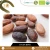 Import Nutrients Promoting Natural Ceylon Criollo Cocoa Beans from Sri Lanka