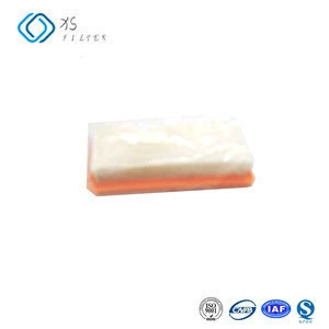 OEM DS5600 Vacuum cleaner air filter for filter supplies
