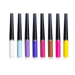OEM High Pigmented Colorful Brighten Pigments Smudgeproof Long Lasting Matte Liquid Eyeliner