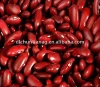 Organic britain red kidney bean