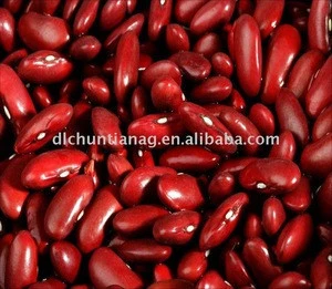 Organic britain red kidney bean