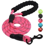 Padded Handle Nylon Pet Collar Leash for Dog Training Walking