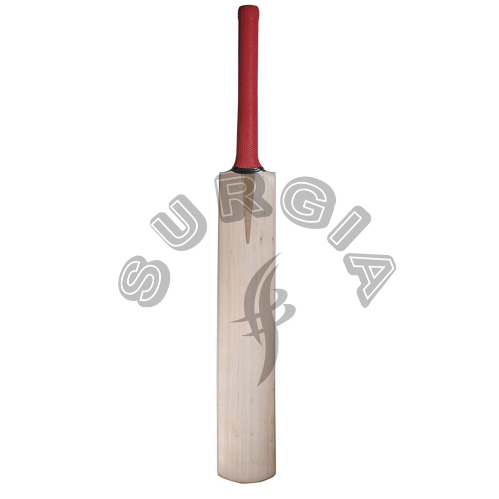 Pakistani Bat Buy Pakistan Manufacture Willow Cricket Bat With Durable Rubber Grip ...