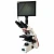 Import Phenix 40X-1000X  Trinocular Biological Students Laboratory Microscope with Display from China