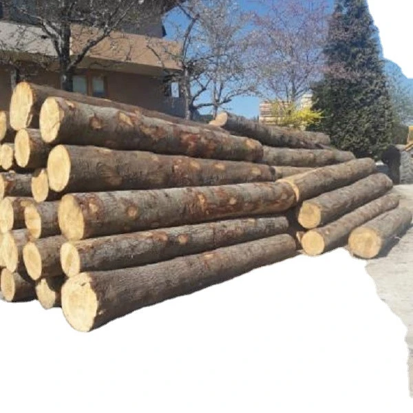 PINE SPRUCE BIRCH OAK ASH LOGS/TIMBER and eucalyptus timber wood logs/crude wood