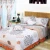 Import Polyester printed king size bedspread from China