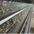 Import Poultry farm with the equipments/ low cost chicken house / from China
