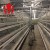 Import Poultry House A Type Layer Chicken Cages For 10000 Birds from China