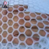 Poultry white plastic pe extruded chicken wire mesh net