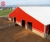 Prefab Fast Installed Steel Structure Building/Cowshed For Poultry Farm For Sale