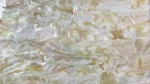 Prism Abalone Wide Shell Coated Adhesive Veneer Sheet Beautiful Shining Haliotis Asinina Sheet