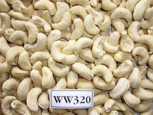 Processed Cashew Nut Kernels W240 W320 W450