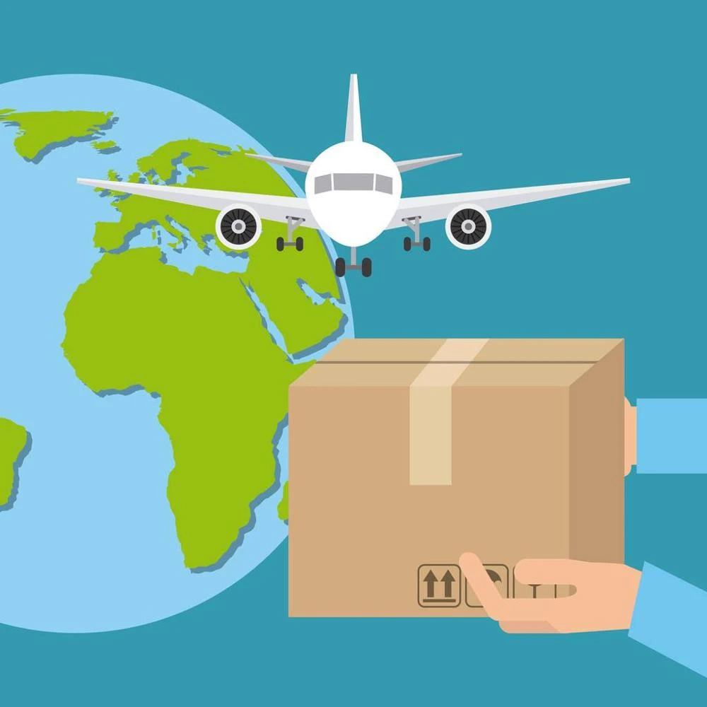 Professional and cheap ocean freight forwarding logistics from China to Amazon