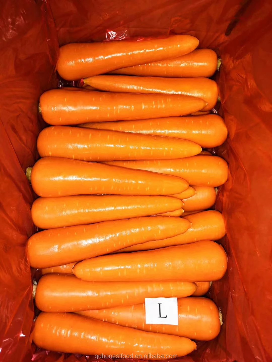 Promotional price wholesale fresh and delicious juicy crispy carrots