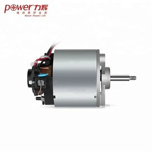 PT5225 DC Motor with high efficiency and low noise for juicer
