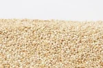 Quality Quinoa Grain/ Quinoa Seeds/Organic Quinoa Grain for sales