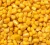 Import Quality Yellow Corn from Canada