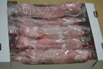 Rabbit Meat - Best quality