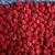 Import Red Inside Organic IQF Frozen Strawberry Whole from China