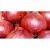 Import Red onion, new Egyptian harvest, 2020 from Egypt