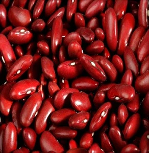 red purple kidney bean big size