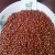 Import RED SORGHUM from India