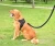 Import Reflective Reversible Dog Chest Harness Damping Saddle Vest Camo Dog Harness from China