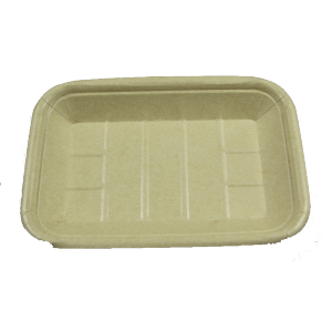 safe and biodegradable sugarcane paper food tray