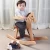 Import Safety Rock and Ride Wooden Rocking Horse ASTM-F963 dealer from China