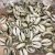 Import Sea Shell Beads White Seashells Cowry Shells Natural Seashell Beach Decor from China