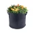 Import Seed Biodegradable Plant 3 Gallon Nursery Plant Pot Non-Woven Grow Bag Gardens Pots from China