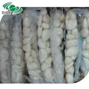 Sell chinese fresh preserved garlic peeled white garlic clove