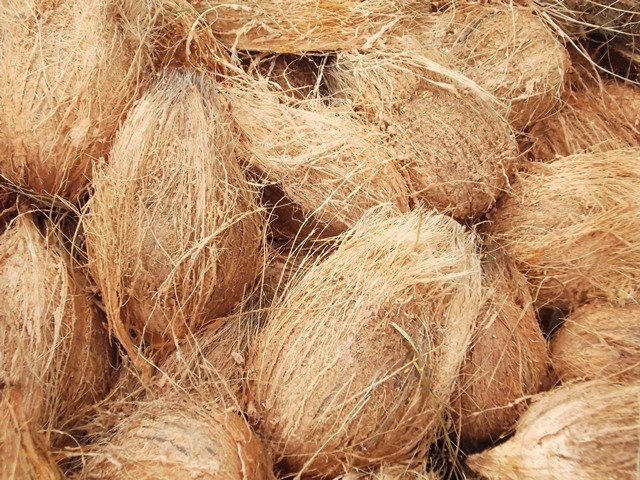 SEMI HUSKED COCONUT FOR SALE FROM INDIA