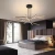 Import Simple Style Indoor Decoration Hanging Geometric Figure Chandelier Pendant Light from China