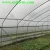 Import Singel-Span Plastic Film Cover  Small Lean Agricultural to Greenhouse from China