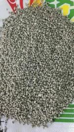 Single Super Phosphate SSP good sell low price