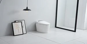 Smart Toilet K19035