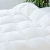 Import Soft Home Hotel Bedding Inner Polyester Microfiber/ Goose Duck Feather Down Duvet, Quilt, Comforter from China