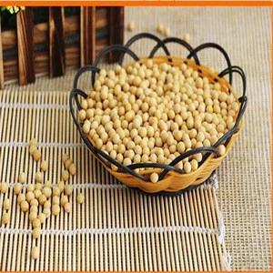 Soya Beans Soybeans Raw And Dried very good quality best