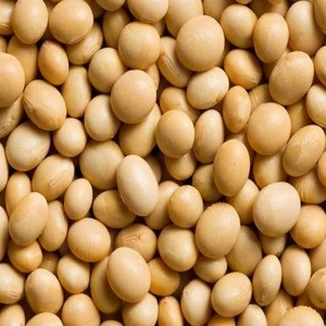 Soya beans / Soybeans