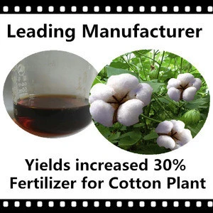 Special Fertilizer for Cotton Plant, Cotton Fertilizer