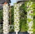 Import strawberry hydroponic vertical farming planter pots garden flower pots from China