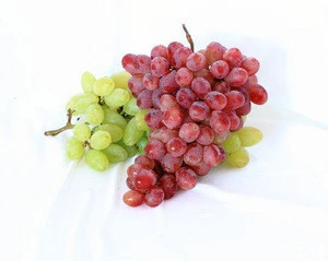 Sweet fresh red Red grape/Green grape/Bulk grape