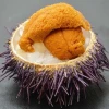Tasty Sea Urchin Flavored Fish Ball Seafood