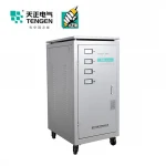 TENGEN  TNS China Supplier AVR Electric Automatic Voltmeter  Voltage Stabilizer Regulator