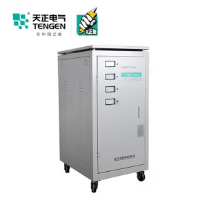 TENGEN  TNS China Supplier AVR Electric Automatic Voltmeter  Voltage Stabilizer Regulator