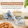 Thailand Mandorle Crackers Dried Apricots Inshell Processing Machines Almond Shelling Machine