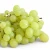 Import Thompson Seedless  Grapes best price from Egypt