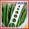 Top Grade Fresh Green Asparagus Imported